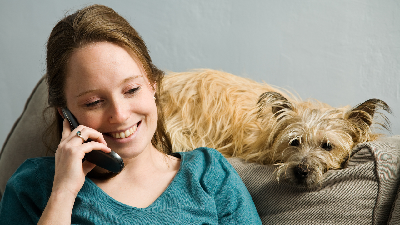 Contact our compassionate mobile vet near me for an appointment.
